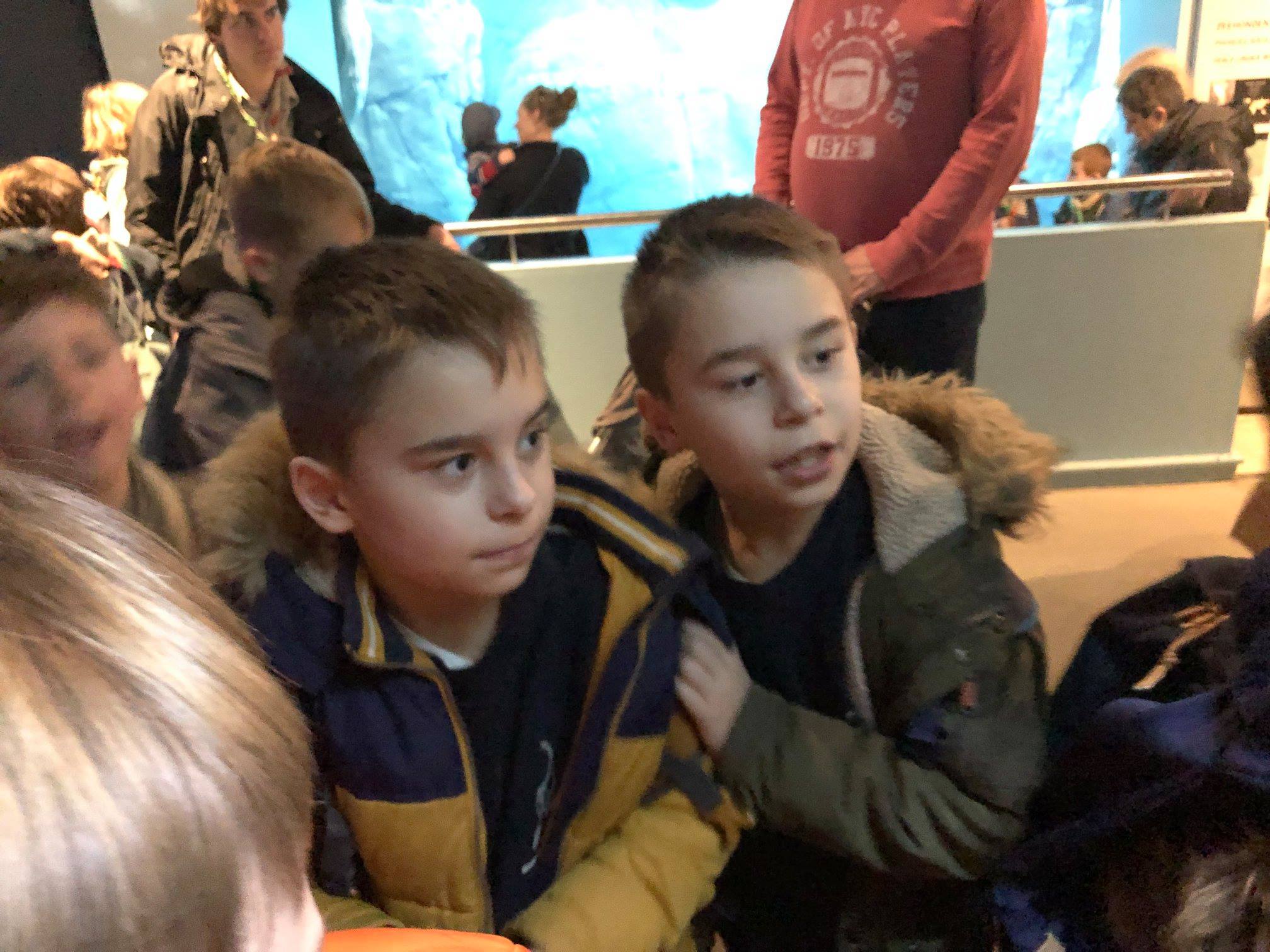 Sint-Martinus den XIIde - Zoo Antwerpen Kapoenen